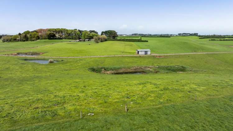 103 Wirihana Road Hawera_10