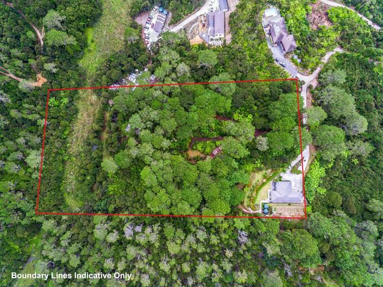 190c Lonely Track Road Dairy Flat_19