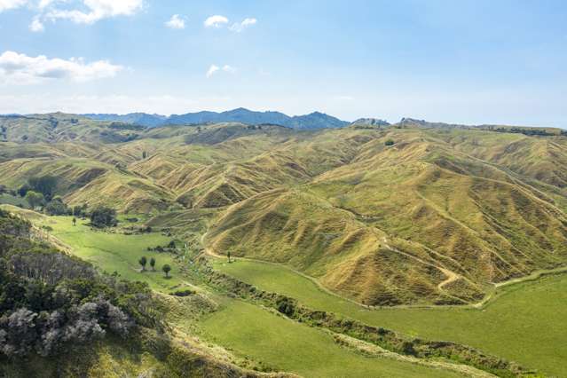 1001 Tunanui Road Mahia_2