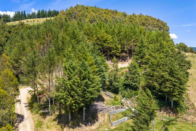 1118 Queen Charlotte Drive Queen Charlotte Sound_23