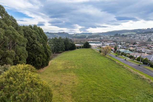 35 Weir Street Green Island_3