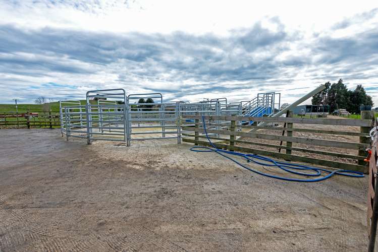 163 Makoura Road Apiti_7