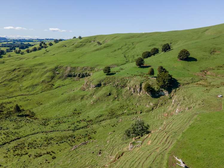 246 Allen And Eyre Road Onewhero_13