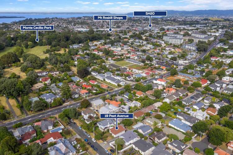 19 Peet Avenue Royal Oak_14