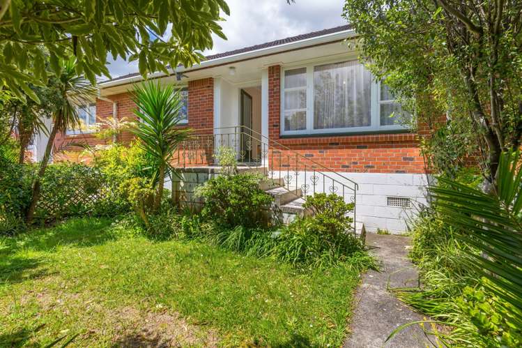 22 Middlesex Road Waterview_0