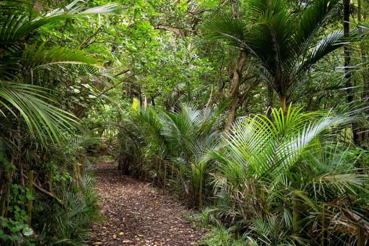 44 J Irwin Road Waiuku_17