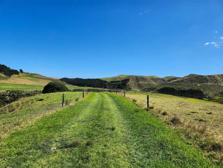 Babylon Coast Road Dargaville_22