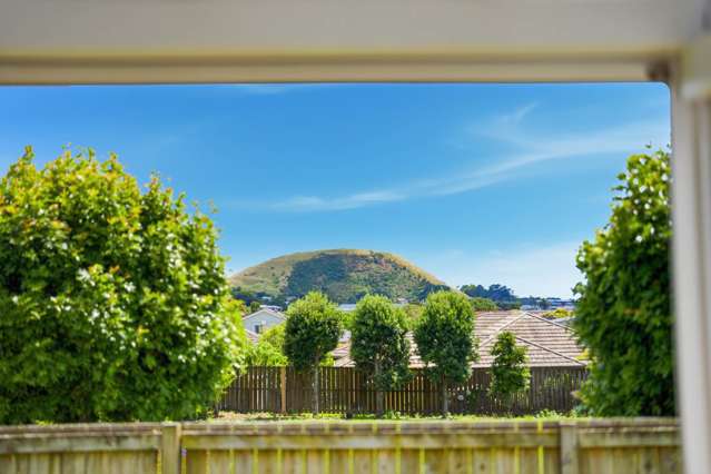 3 Italia Grove Mt Wellington_2