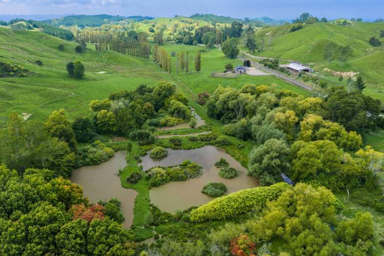 1678 Tiniroto Road Waerenga-O-Kuri_15