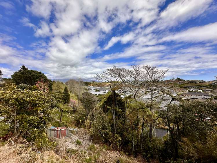466A Carrington Street Upper Vogeltown_7