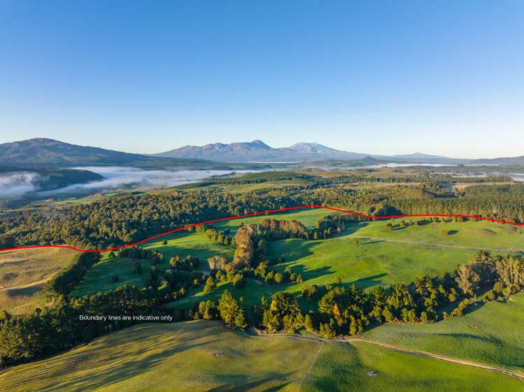 2709 State Highway 41 Kuratau_12