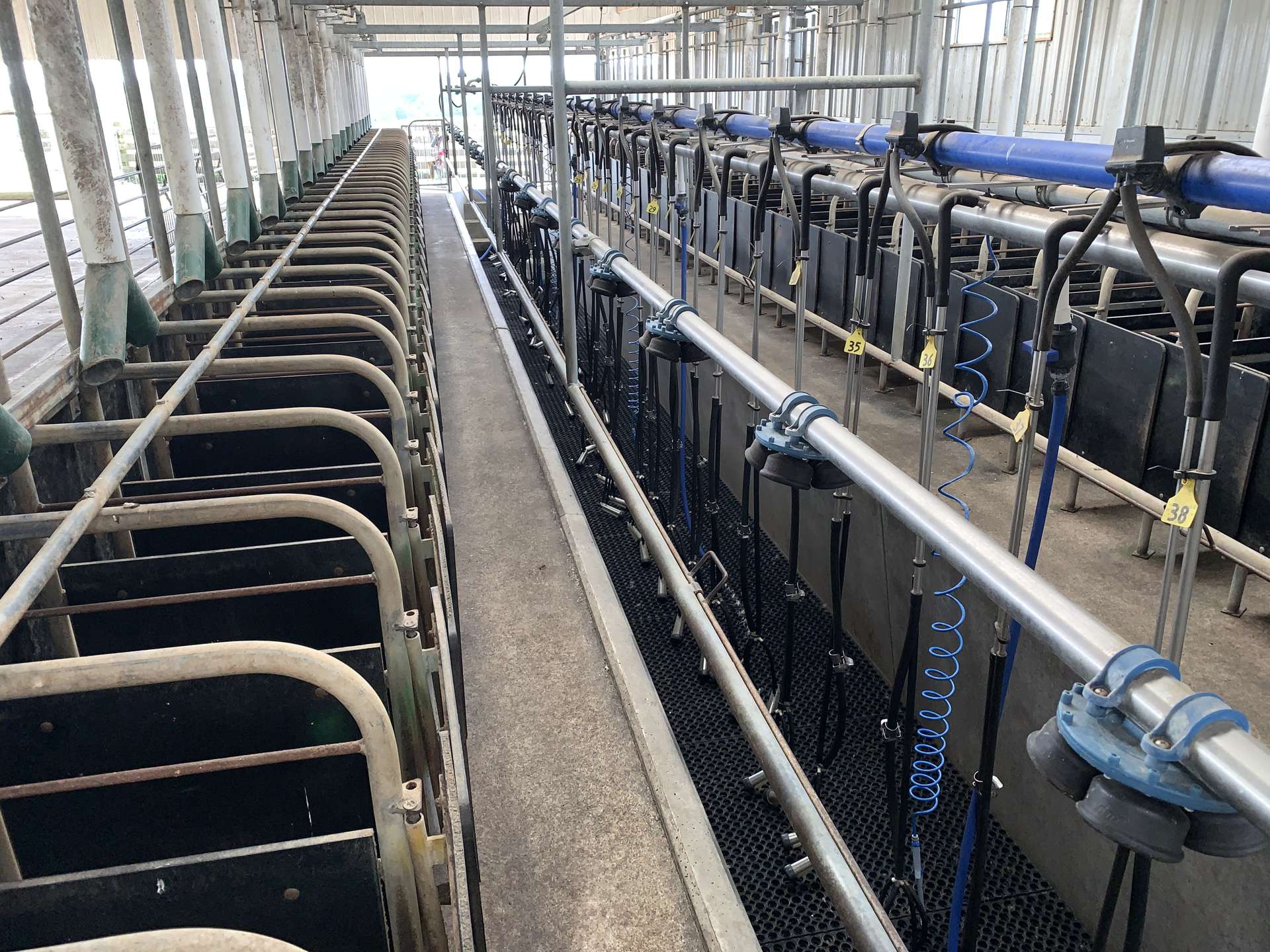 354 Paraite Road Paraite_0