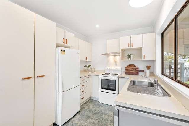 20A Moa Road Point Chevalier_3