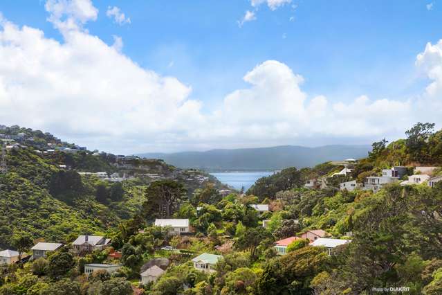 17c Fitzroy Street Wadestown_1