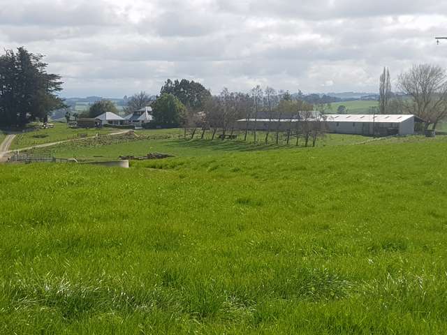 173 Soper Road Clinton and Surrounds_2