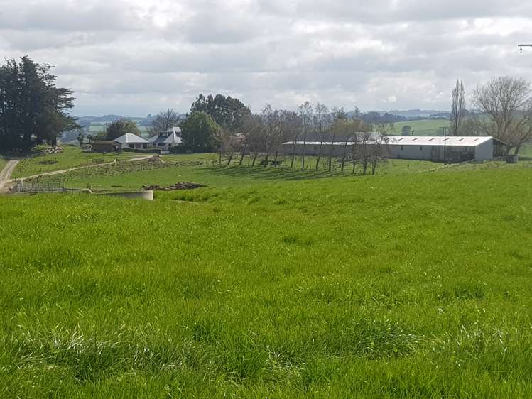 173 Soper Road Clinton and Surrounds_2