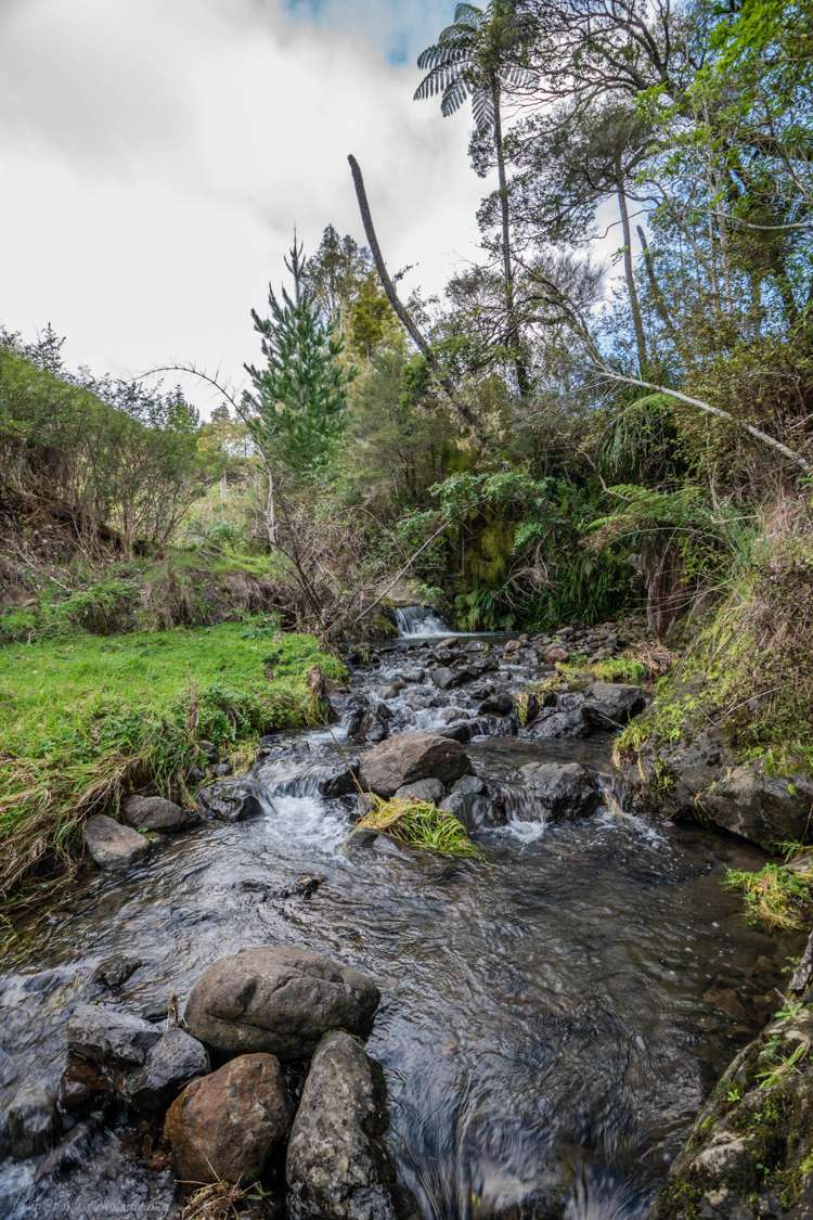 271 Takahue Saddle Road Takahue_14