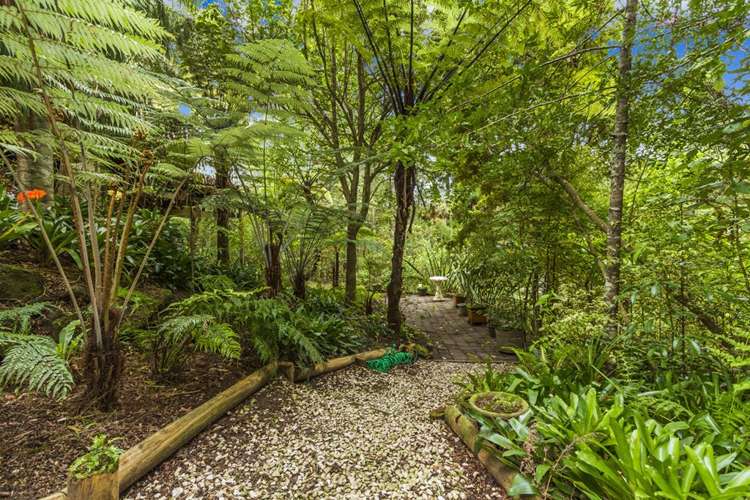 15 Fitzpatrick Place Chatswood_17