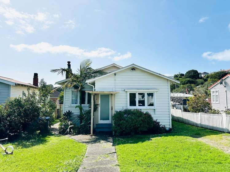 58 Ivanhoe Road Grey Lynn_13
