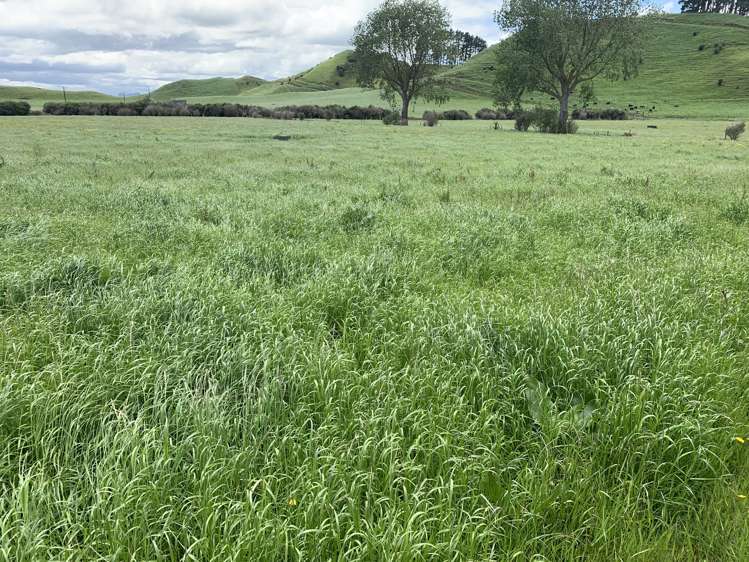 678 Bird Road Stratford_0