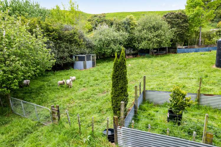 356 Waihapa Road Stratford_16