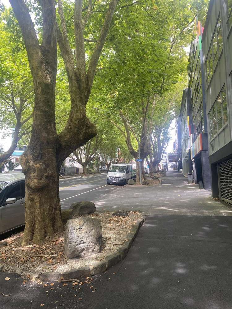 9k/113 Vincent Street Auckland Central_6