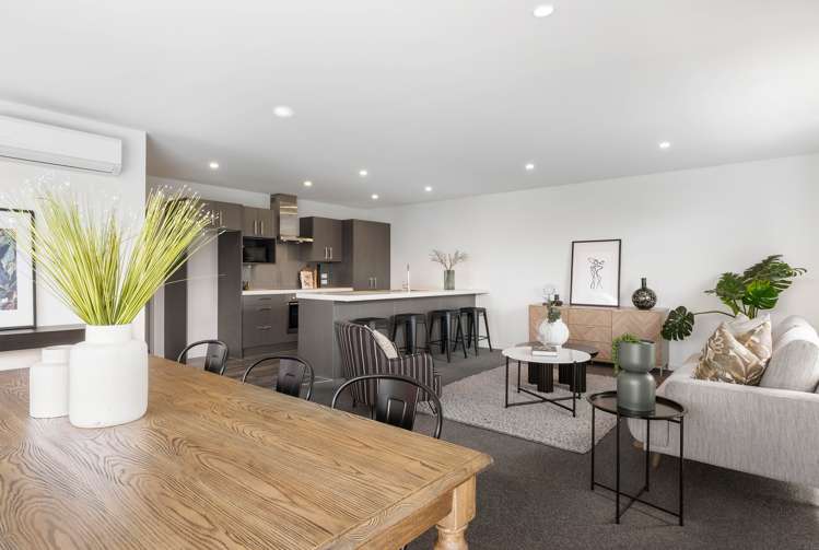 31 Seddon Street Sydenham_10