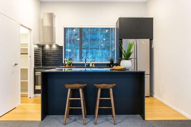 1C Wilkinson Street Oriental Bay_4