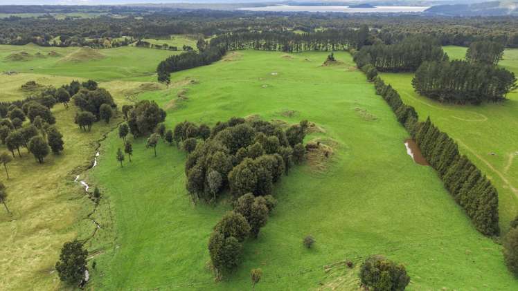 1161 State Highway 5 Hamurana_5