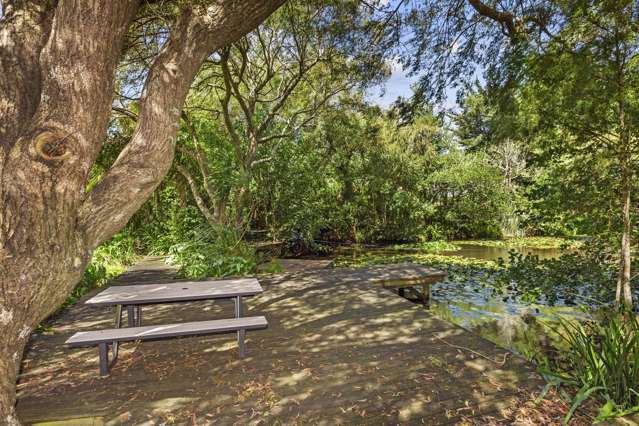 91c Greenslade Road Raglan_3