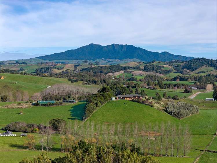 143 Pond Road Raglan_12