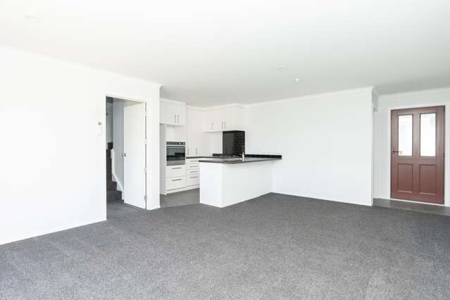 29b Claudelands Road Hamilton East_1