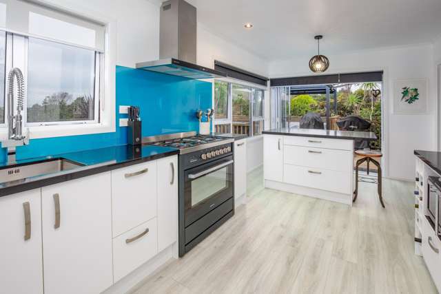 17 Collie Street Hillpark_4