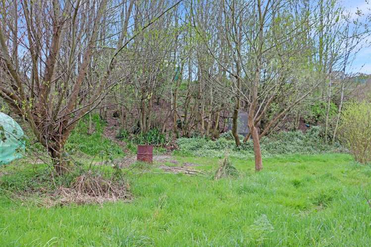 41 & 43 Johnston Road Nightcaps_9