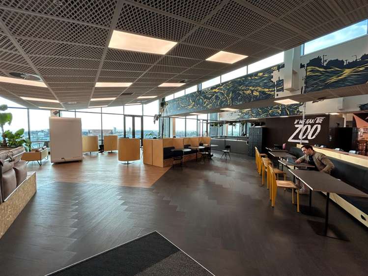 4 Williamson Avenue Ponsonby_6