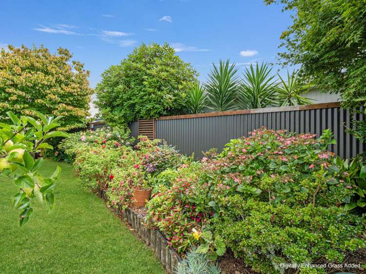 10 Heron Crescent Katikati_33