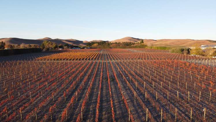 2006 Maraekakaho Road Raukawa_21