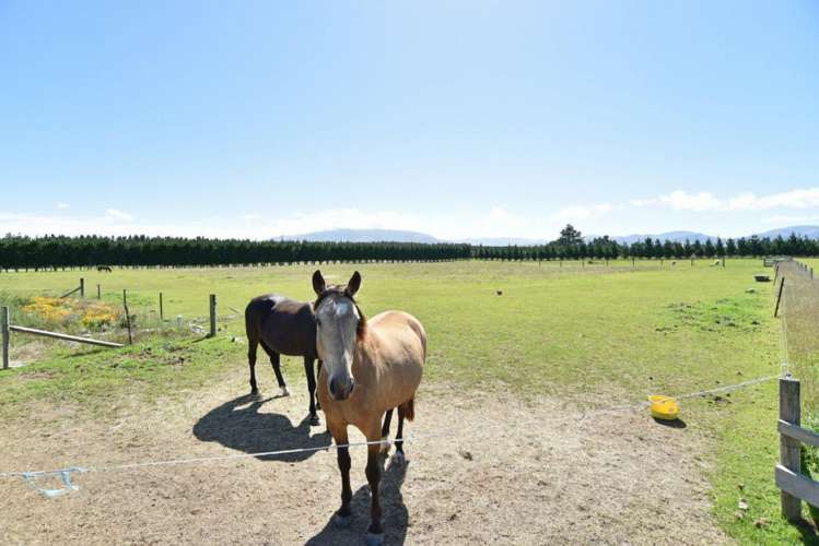 133 Riverside Road Okuku_20