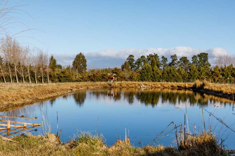 446 Letts Gully Road Alexandra_16