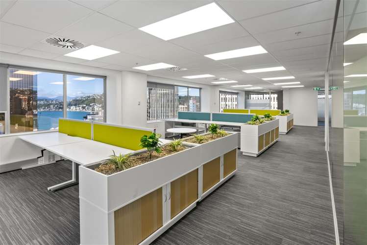 141 The Terrace Wellington Central_11