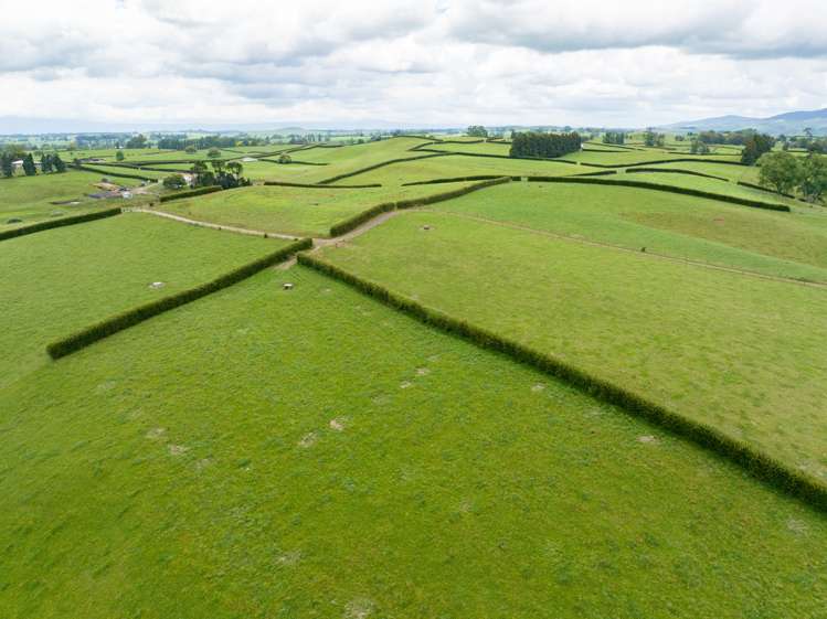 83 Waikuku Road Morrinsville_15