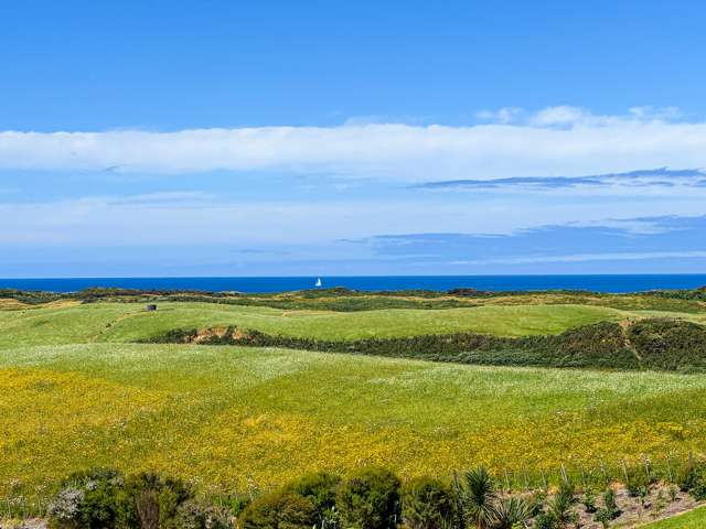 103 Blue Horizon Road Whangarei Heads_1