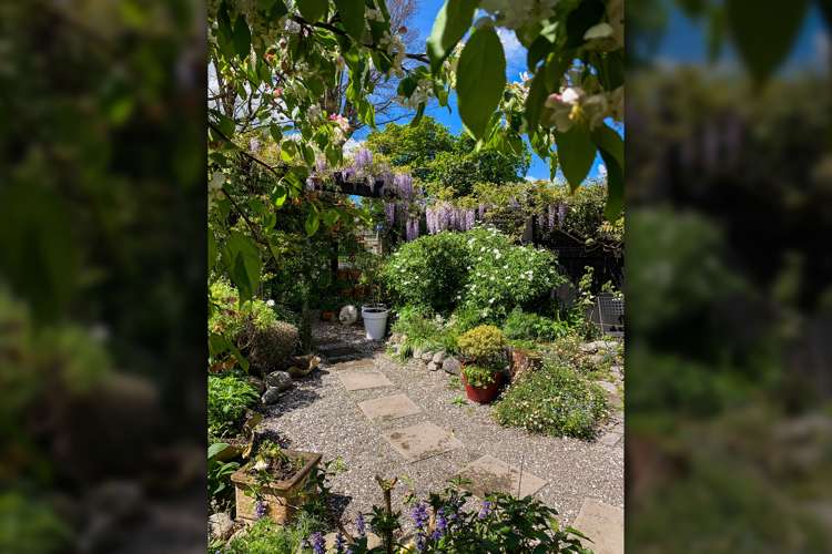 20b Wood Street Greytown_18