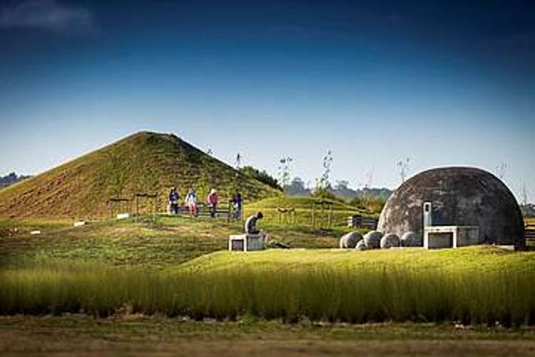 100 Thomas Road Flat Bush_19