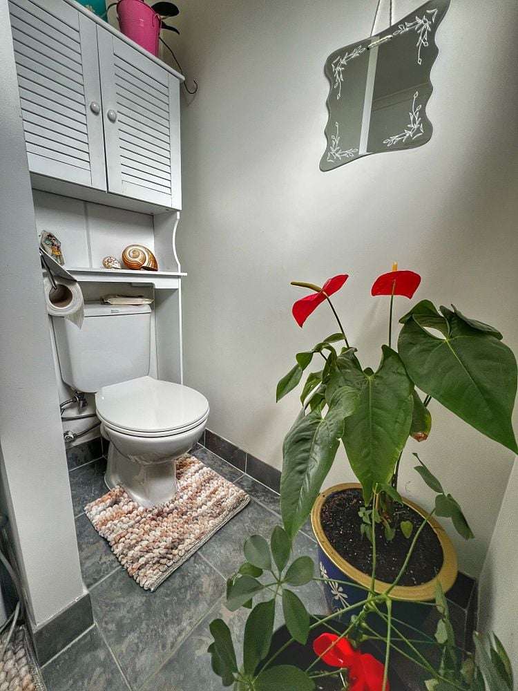 29/5 Carolina Place Albany_9