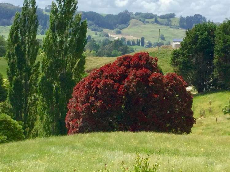 62 Oparure Road Te Kuiti_36