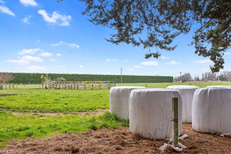 25 Waiau West Road Cheviot_13