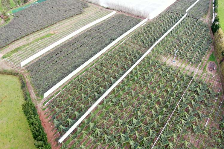 263 Waihi Beach Road Waihi_25