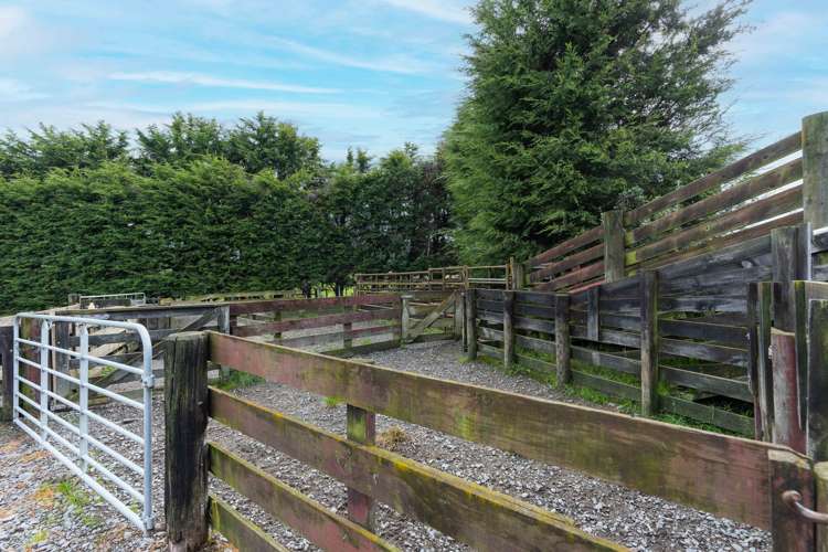 1797 State Highway 3 Awahuri_22