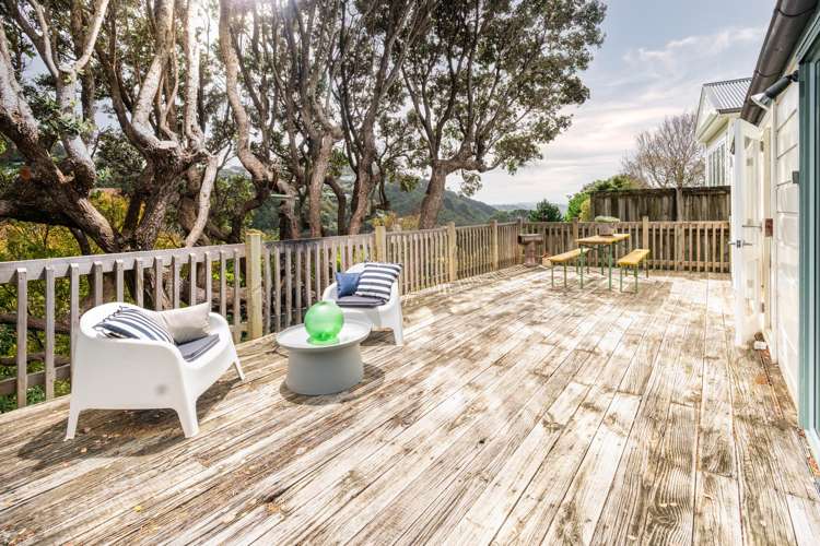 16 Mariri Road Kelburn_2